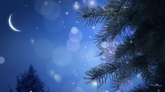 Winter Night Wallpaper