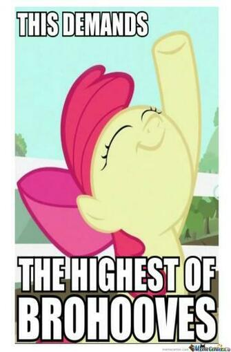 My Little Pony Funny Memes