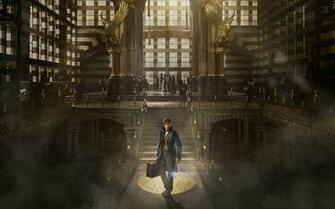 Fantastic Beasts And Where To Find Them HD Wallpaper