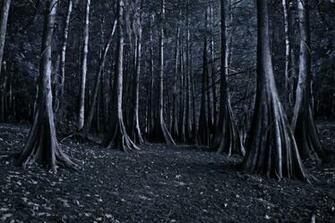 Creepy Background Wallpaper Image Pictures Design