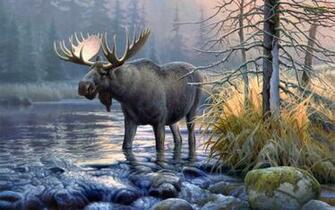 Awesome Moose Wallpaper