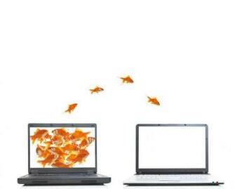 Poissons Comp Or Wallpaper