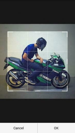 Yamaha Tzm Ypvs Street Bikes Motorcycle