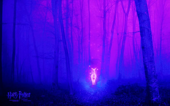 Patronus Charm Harry Potter Wallpaper