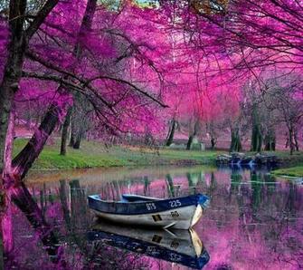 Natural Beauty HD Widescreen Wallpaper Itsmys