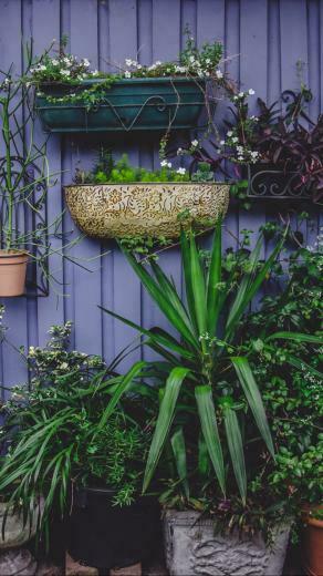 Wallpaper Greenhouse Flowers Garden Pots