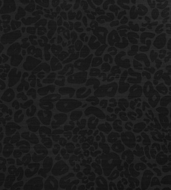 Black Leopard Wallpaper