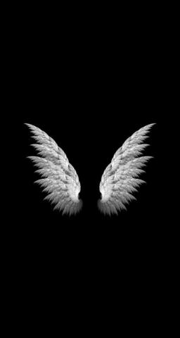 Just Not Ready Cool Black Wallpaper Wings