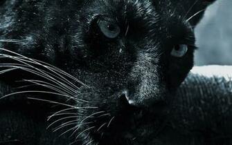 Yash Handa On Desktop Wallpaper Arts
