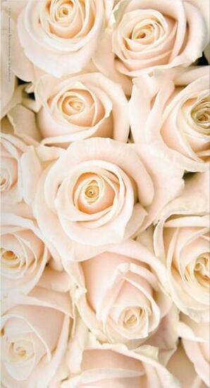 Best Ideas About Rose Gold Wallpaper