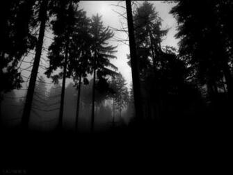 Wallpaper Creepy Forest By Akg Customize Org