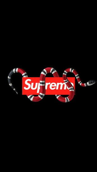 Gucci X Supreme Wallpaper Top Background