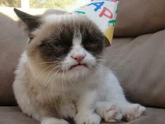 Grumpy Cat Wallpaper Background
