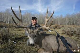 Trophy Mule Deer Monster Wallpaper Utah Pictures