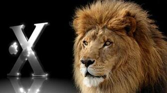 Fuentes De Informaci N Wallpaper Mac Os X Lion