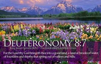 Bringeth Thee Into A Good Land Of Brooks Water Bible Quote