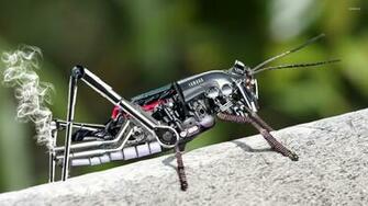Yamaha Grasshopper Wallpaper Digital Art