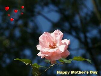 Happy Rose Day Wallpaper Search Results Calendar