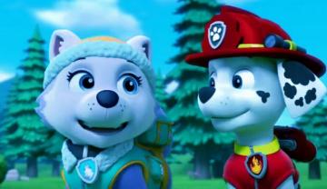 Marshall And Everest Paw Patrol Fan Art