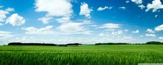 Green Field 4k HD Desktop Wallpaper For Ultra Tv Dual