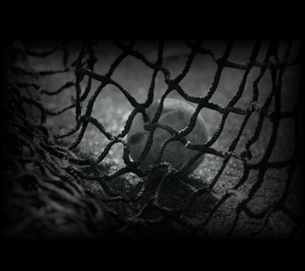 Photo Lacrosse Ball In Goal Net The Album Sports Wallpaper By