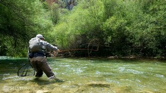Fly Fishing Wallpaper School In Spain