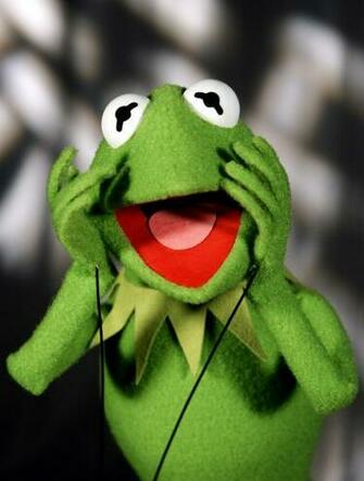 Kermit The Frog Muppet Show Wallpaper Animals Frogs HD