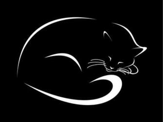 iPhone Wallpaper HD Top Best Background