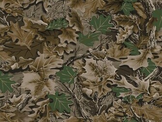 Realtree Wallpaper Photos