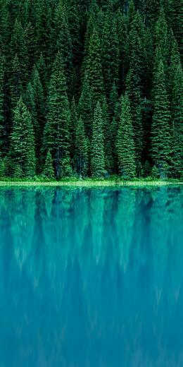 Lg G6 Stock Wallpaper X