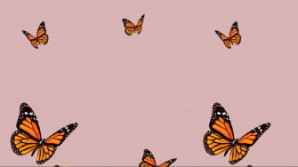Butterflies Laptop Wallpaper