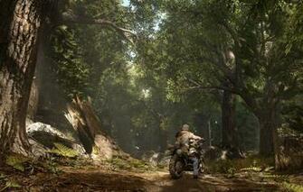Wallpaper Zombie Forest Sony Bike Tree Man Survivor Fear