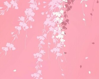 Pink Background Branches Windows HD Wallpaper In High