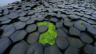 Bing Wallpaper Sonu Rai