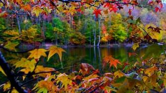 Autumn Wallpaper