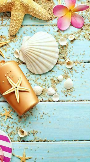 Wood Seashells Sea Star iPhone Plus HD Wallpaper