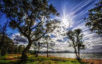 Mobile Screensavers Wallpaper Nature Android