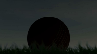 A Static Shallow Depth Of Focus Time Lapse Over Day Cricket