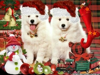 Christmas Puppies Wallpaper