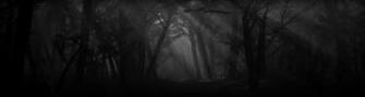 Askparasect Deviantart