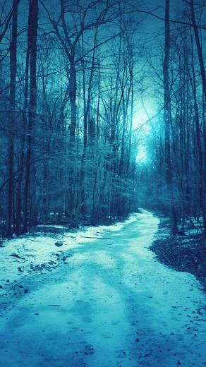 Winter Road Nexus Wallpaper