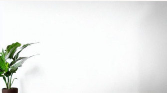 Simple Zoom Background Wallpaper