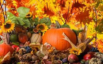 Thanksgiving Computer Wallpaper Desktop Background Id