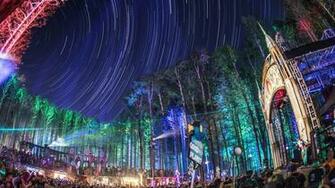 Electric Forest Wallpaper