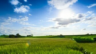 Grassland Landscape Wallpaper Desktop Background Scenery