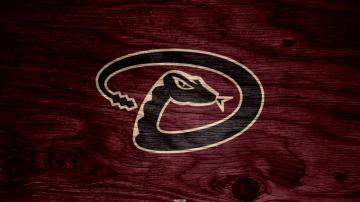 Best Diamondback Wallpaper Snake