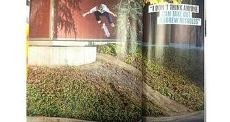 Instagram Chris Joslin Flip Ender Plan B True