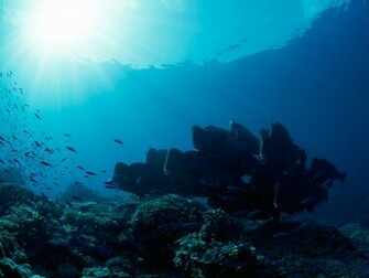 Underwater Landscape Photos Wallpaper