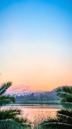 Pretty Phone Wallpaper And Background To