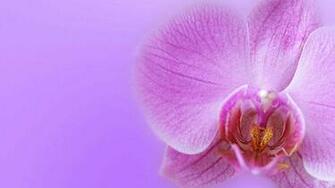 Really Cool Background For Girls Image Pictures Becuo